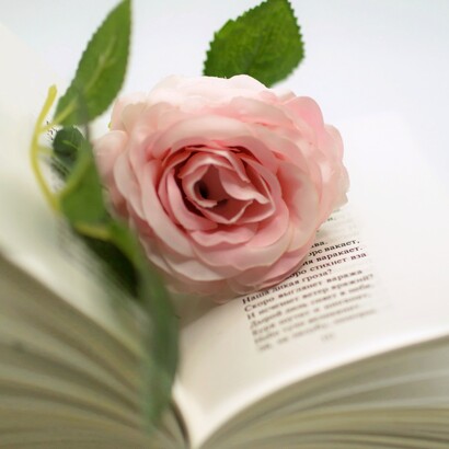 L’intento del progetto è raggiungere anche un solo lettore sensibile e aperto, capace di riconoscere il valore degli autori proposti