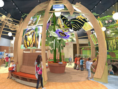 Discovery Zone. Courtesy of Florida Museum of Natural History
