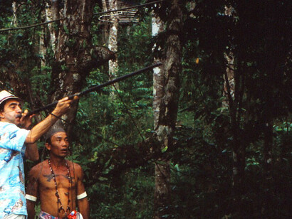 Scorci di vita nella foresta del Kalimantan