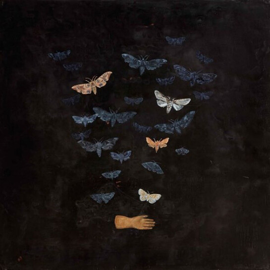 Melanie Miller, Moth Conjuror, 2014, oil on gessoed board, 50 x 50 cm