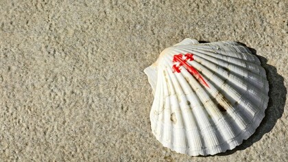 La concha del peregrino