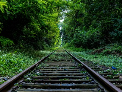 Train track in a forest
