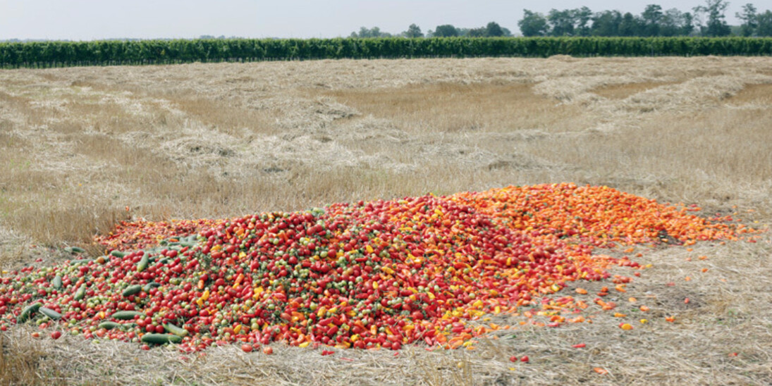 Martin Kollar. Courtesy of Galerie Stephan Witschi