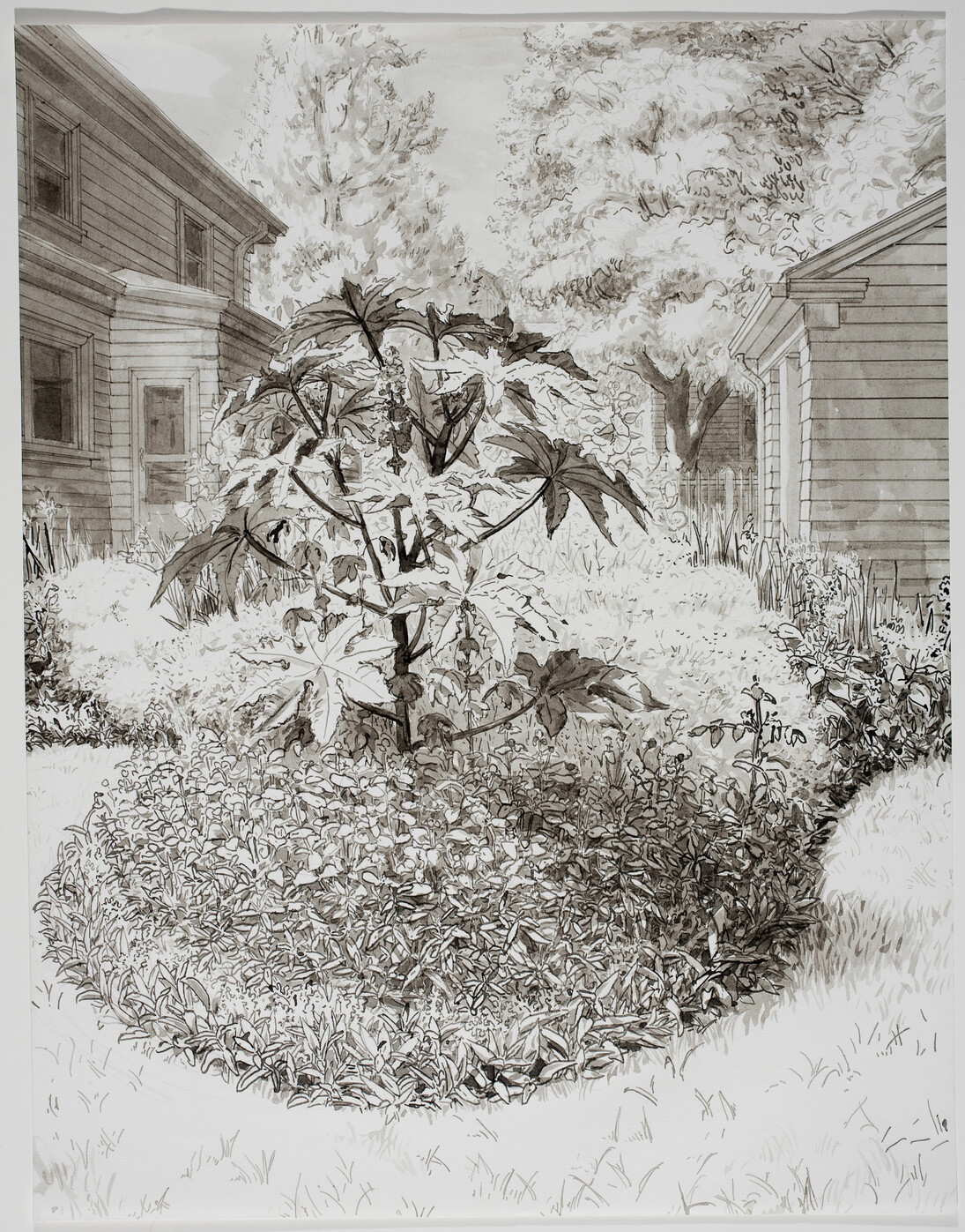 Andrew Raftery, 3rd of August Flowerbed Study Pen and Wash