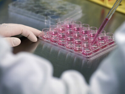 La ricerca scientifica