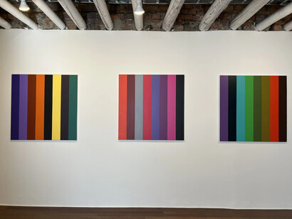 Fernando Uhía, Bipolares o Jurassic lines, vista de exhibición. Cortesía de Galería Nueveochenta