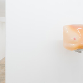 Bella donna. Courtesy of Nina Johnson