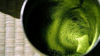 Polvere di tè verde Matcha