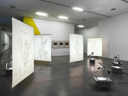 Verschiedene Künstler, Knowledge is a garden, Ausstellungsansicht. Mit freundlicher Genehmigung des Migros Museum