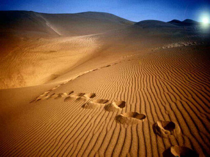 La vida. Caminar por un desierto