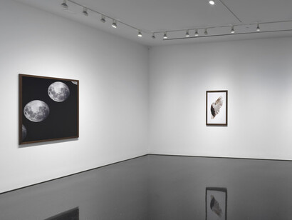 Old Fruit. Courtesy of Gagosian Gallery