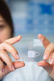 Body on chip, costruire un corpo umano in piena regola