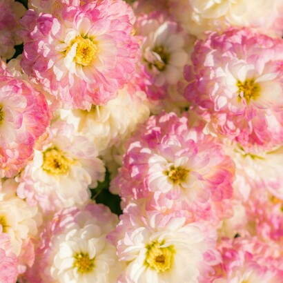 In quell'istante si muore e si rinasce, superando i confini di sé