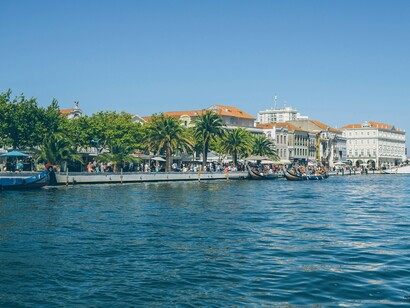 Passeios de barco em Aveiro, Portugal
