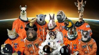 Poster di animali nello spazio