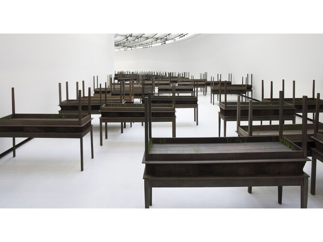 Doris Salcedo, Plegaria Muda (detail), 2008–10, Wood, concrete, earth, and grass in 122 parts, dimensions variable. Courtesy Alexander and Bonin, New York