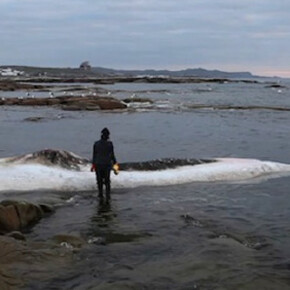 Patty Chang. Courtesy of Queens Museum