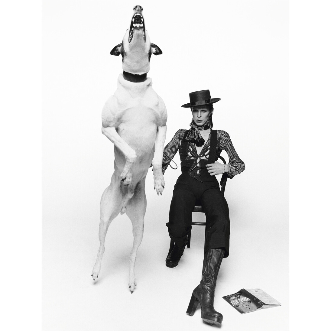 Terry O'Neill, Diamond dog Bowie