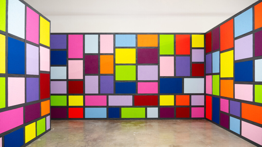 Peter Halley, The mirror stage, exhibition view. Courtesy of NSU Art Museum 