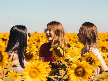 3 women in yellow sunflower field during daytime, laughing and happy