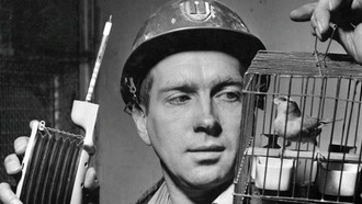 A caged canary about to sacrifice his existence for the sake of Americans
