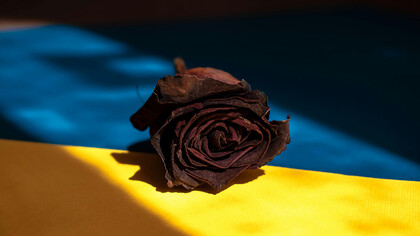 Adorning the Ukrainian flag, a vibrant red rose stands prominently