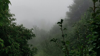 The eerie silence of the Himalayas has, for a long time, been luring writers, poets, and artists