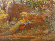 Strut, Knight Tiger and peacock