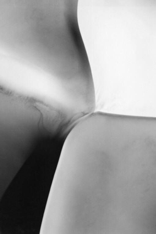 Abstractions, A-Z. Courtesy of Scott Nichols Gallery