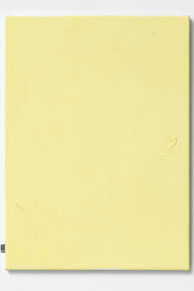 Monika Baer. Courtesy of Kunstmuseum