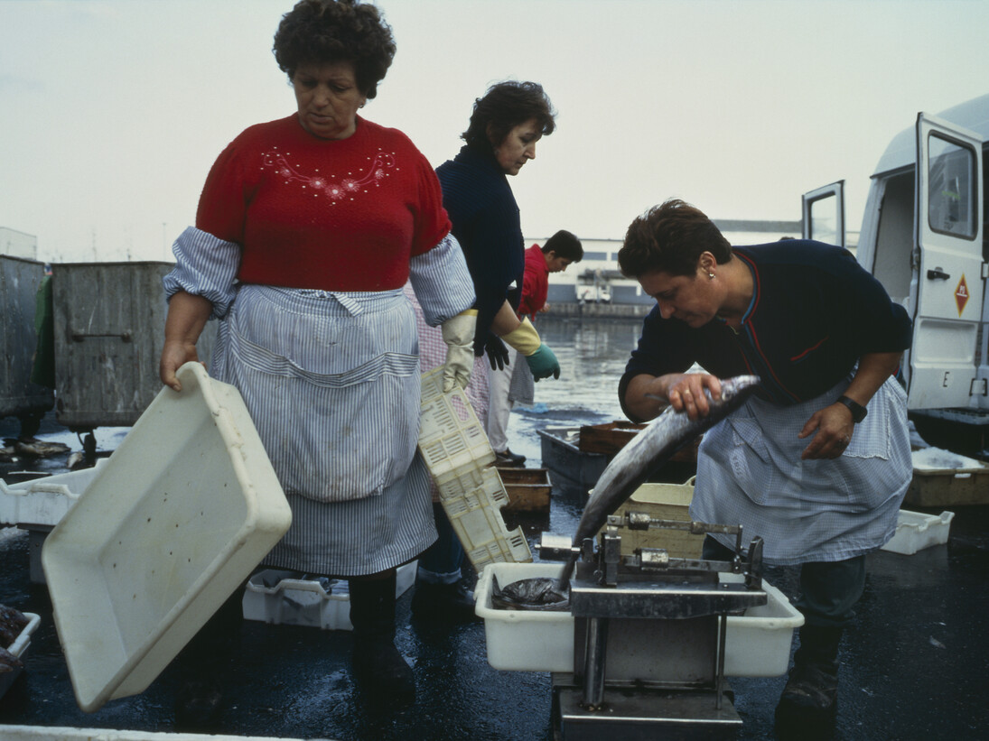 Allan SekulaMessage in a Bottle, chapter 5, Fish Story, 1992-1994 Thyssen-Bornemisza Art Contemporary Collection Photo: The Estate of Allan Sekula. Courtesy of TBA21
