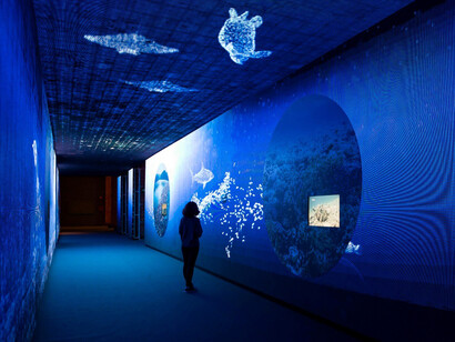 Somos agua, vista de la exposición, Fundación Canal, Madrid. Courtesy of Fundación Canal