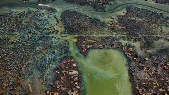 Edward Burtynsky 
Oil Bunkering #4, Niger Delta, Nigeria 2016 
photo © Edward Burtynsky, courtesy Admira Photography, Milan / Nicholas Metivier Gallery, Toronto

