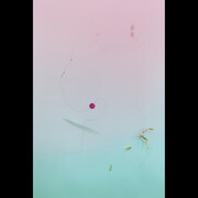 Nicolás Mastracchio. Courtesy of Museo de Arte Moderno