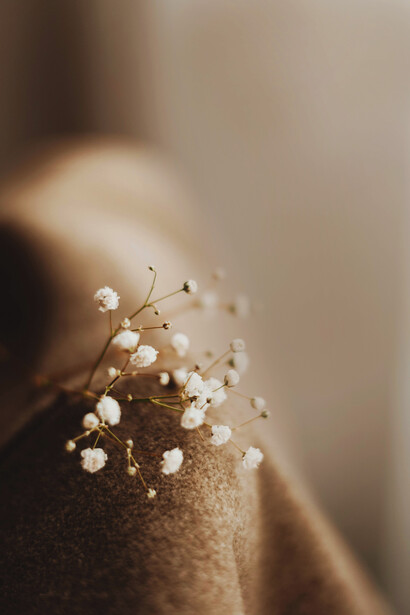 Fotografía de Doña Flor