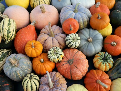 La determinazione a non fermarsi su quelle che si chiamano “posizioni” delle parti, andando oltre ed esplorando gli “interessi” che stanno dietro