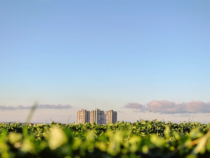 The green that surrounds the industry