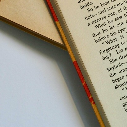 Aprendí a entender la diversidad de géneros literarios y lecturas clásicas