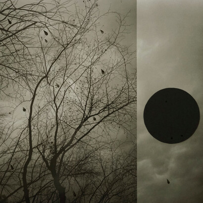 Marie Navarre, Dark harvest, 2025. Courtesy of Lisa Sette Gallery
