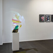 Verschiedene künstler, La vie en rose, ausstellungsansicht. Mit freundlicher genehmigung der Galerie Luisa Catucci 