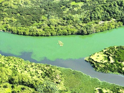 Tristes paisagens
