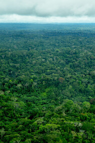 Amazon, Shell to Llanchamacocha flight @ Ashish Kothari