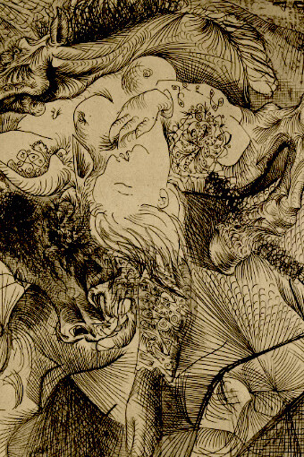 Suite Vollard, 87 : Mujer torero, II