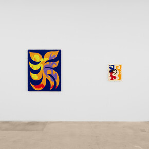 Carlos Rosales-Silva, Border Logic, installation view. Courtesy of the artist and Sargent's Daughters 