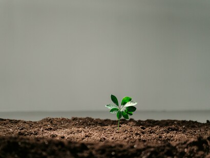Ecologia. Transizione ecologica e digitale: opportunità e sfide per i Paesi in via di sviluppo