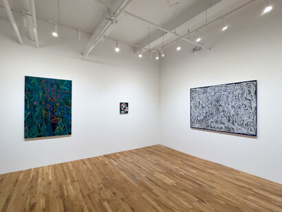 Sarah Gamble, Second sight, exhibition view. Courtesy of Fleisher/Ollman Gallery 