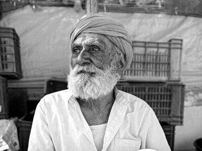 Ritratto di un uomo anziano