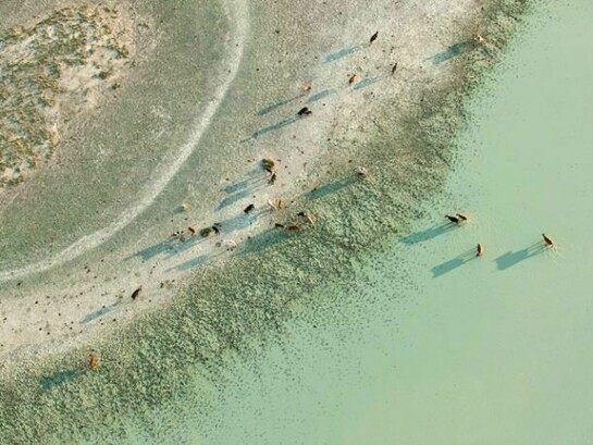 Zack Seckler, Earth Water Fade 2009