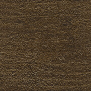 Institute of Contemporary Arts