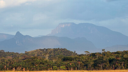 Marahuaka (el árbol de la vida de los Ye’kuana) al fondo; Pico Fhawi-ewihti al centro. Vista desde la Sabana de Culebra (Mawadi-anehidiña). Foto: Javier Mesa
